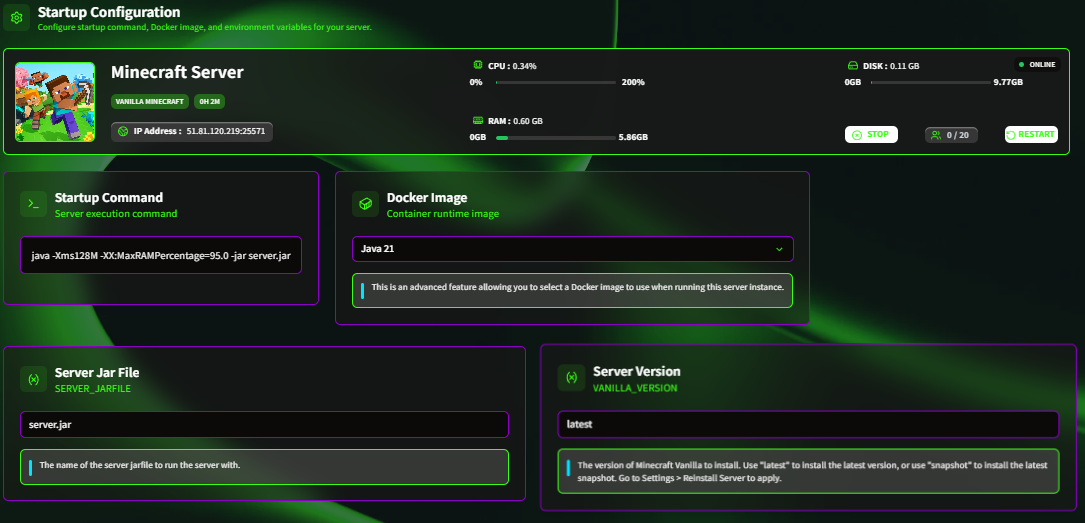 Server Startup Configuration